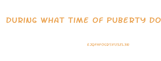 During What Time Of Puberty Does Penis Growth Happen