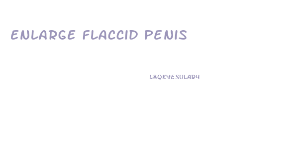 Enlarge Flaccid Penis