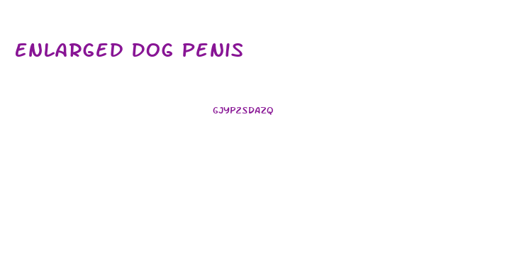 Enlarged Dog Penis