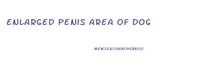 Enlarged Penis Area Of Dog