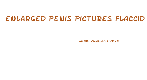 Enlarged Penis Pictures Flaccid Vs Erect