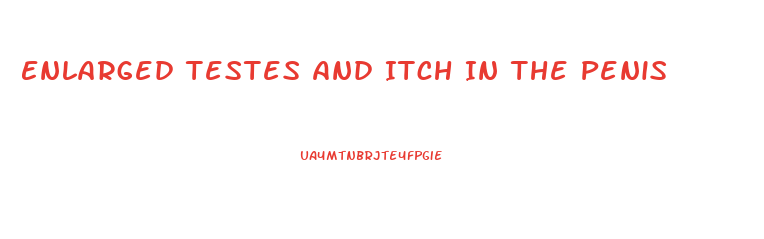 Enlarged Testes And Itch In The Penis