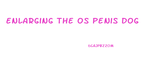 Enlarging The Os Penis Dog