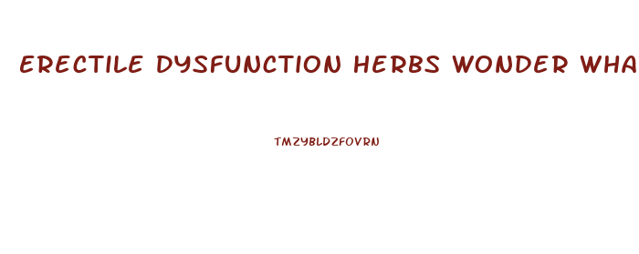 Erectile Dysfunction Herbs Wonder What Works