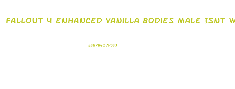Fallout 4 Enhanced Vanilla Bodies Male Isnt Working