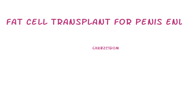 Fat Cell Transplant For Penis Enlargement