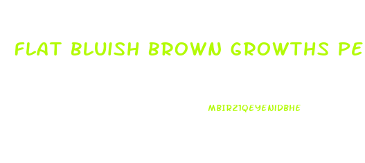 Flat Bluish Brown Growths Penis