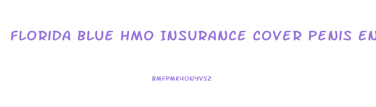 Florida Blue Hmo Insurance Cover Penis Enlargement