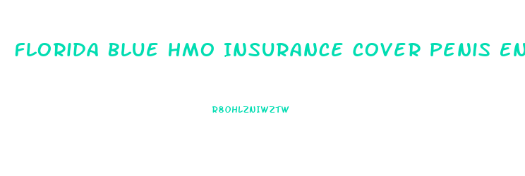 Florida Blue Hmo Insurance Cover Penis Enlargement