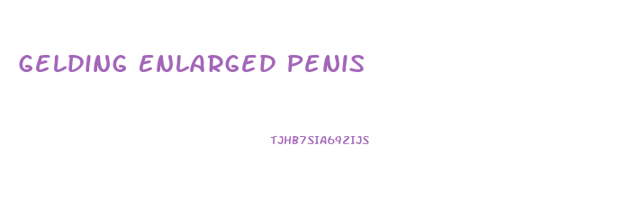 Gelding Enlarged Penis