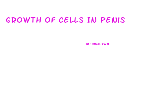 Growth Of Cells In Penis