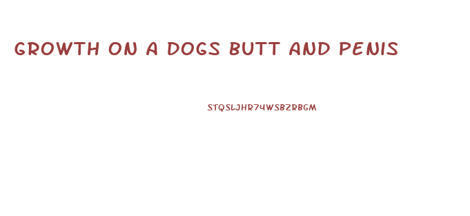 Growth On A Dogs Butt And Penis