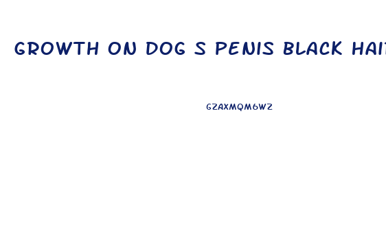 Growth On Dog S Penis Black Hairs Upside Down