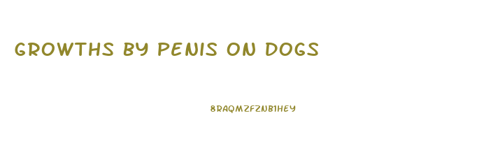 Growths By Penis On Dogs