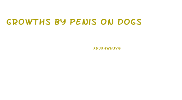 Growths By Penis On Dogs