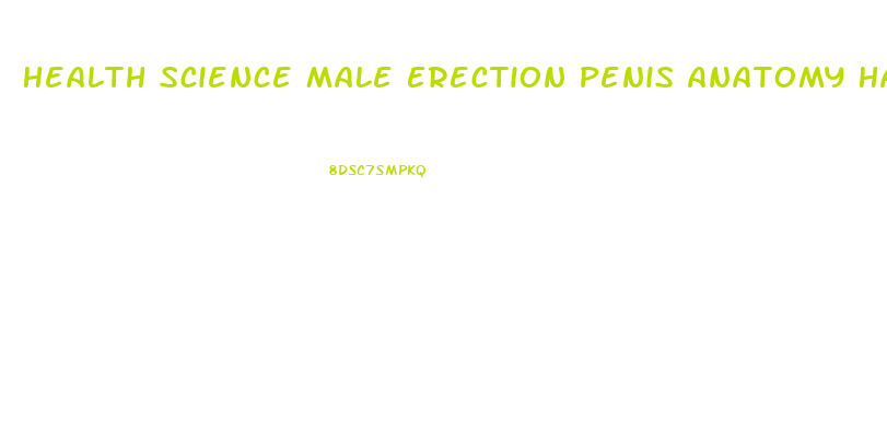 Health Science Male Erection Penis Anatomy Hard Enlarged