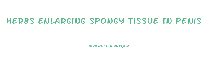 Herbs Enlarging Spongy Tissue In Penis