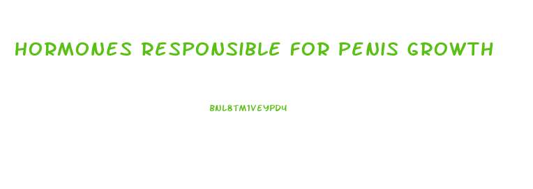 Hormones Responsible For Penis Growth
