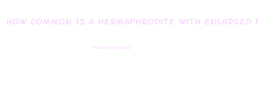 How Common Is A Hermaphrodite With Enlarged Penis