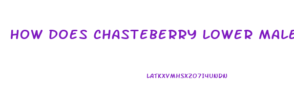 How Does Chasteberry Lower Male Libido