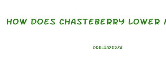 How Does Chasteberry Lower Male Libido