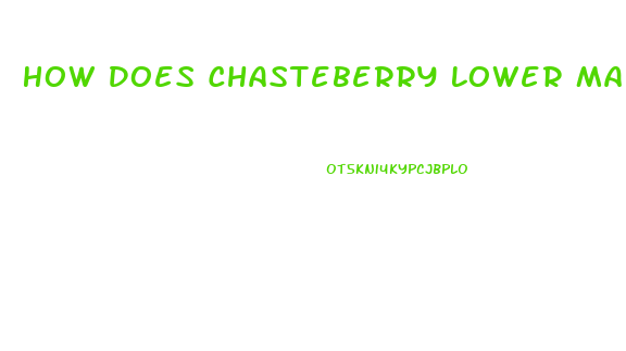 How Does Chasteberry Lower Male Libido