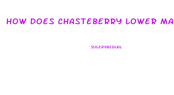 How Does Chasteberry Lower Male Libido