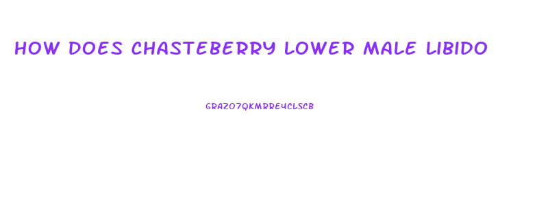 How Does Chasteberry Lower Male Libido