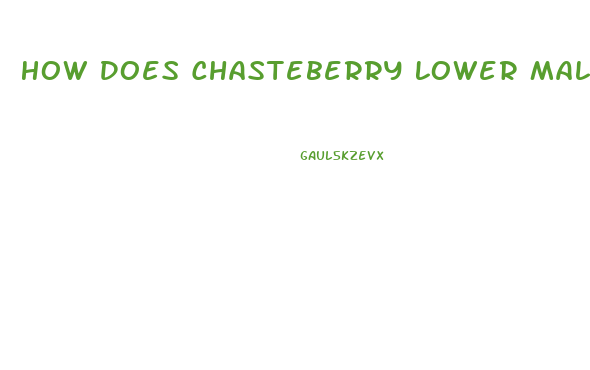 How Does Chasteberry Lower Male Libido