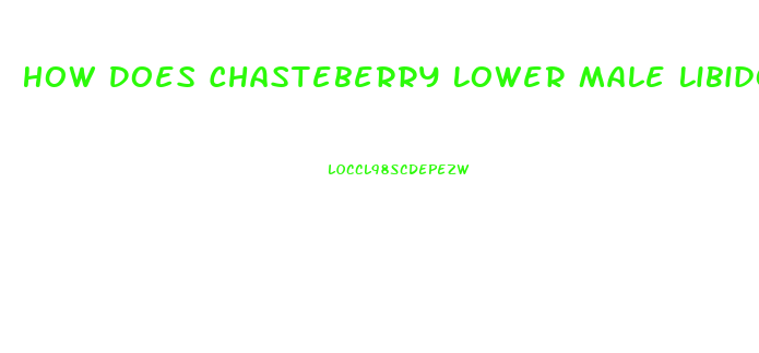 How Does Chasteberry Lower Male Libido