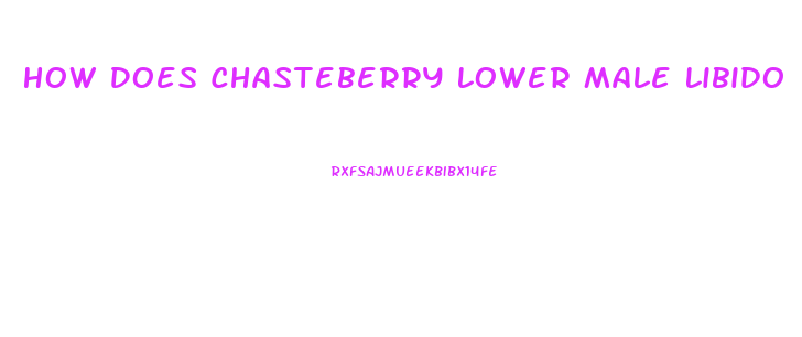 How Does Chasteberry Lower Male Libido