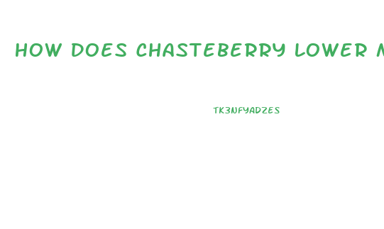 How Does Chasteberry Lower Male Libido