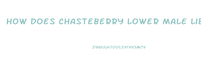 How Does Chasteberry Lower Male Libido