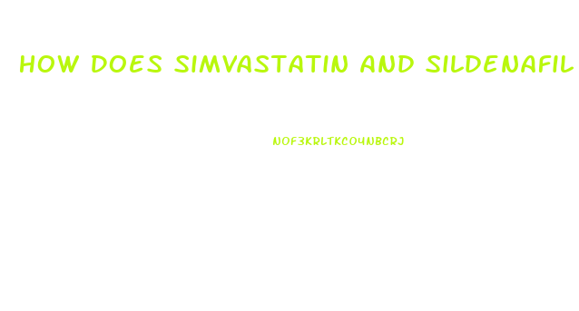 How Does Simvastatin And Sildenafil React Together