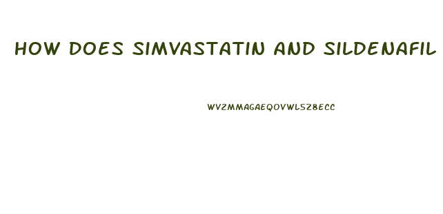 How Does Simvastatin And Sildenafil React Together