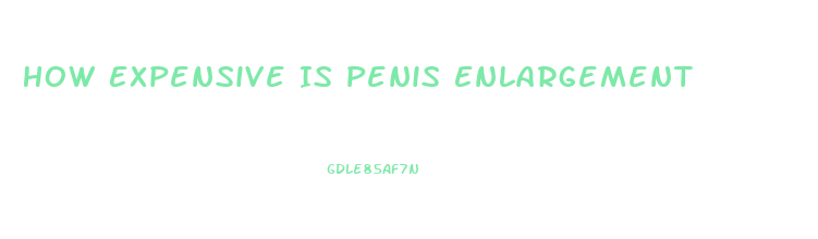 How Expensive Is Penis Enlargement