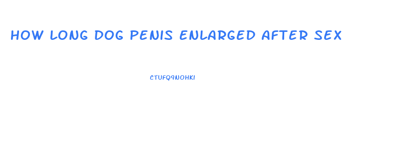 How Long Dog Penis Enlarged After Sex