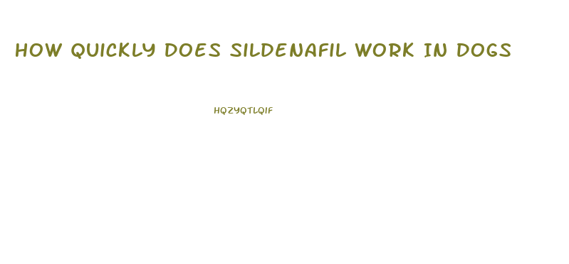 How Quickly Does Sildenafil Work In Dogs