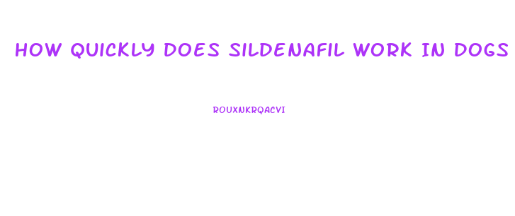 How Quickly Does Sildenafil Work In Dogs