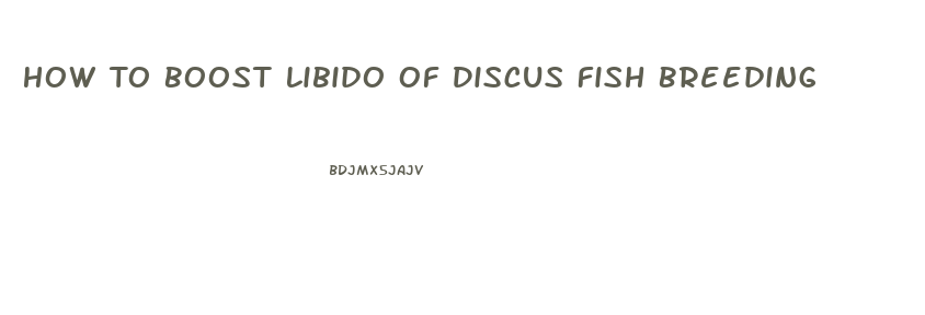 How To Boost Libido Of Discus Fish Breeding