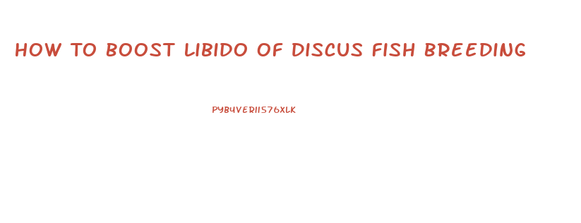 How To Boost Libido Of Discus Fish Breeding