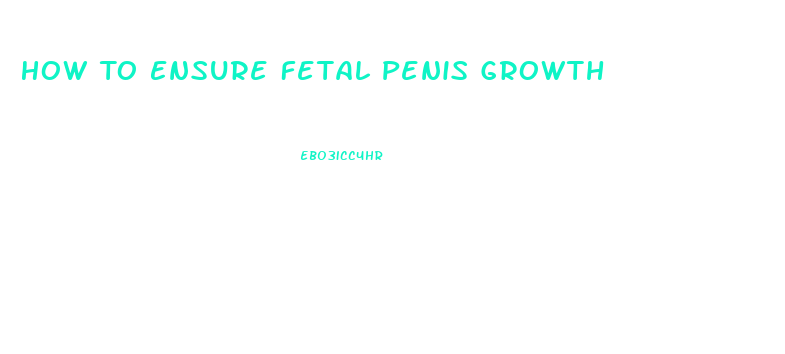How To Ensure Fetal Penis Growth