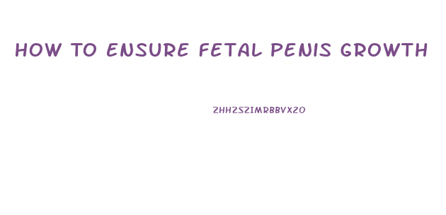 How To Ensure Fetal Penis Growth