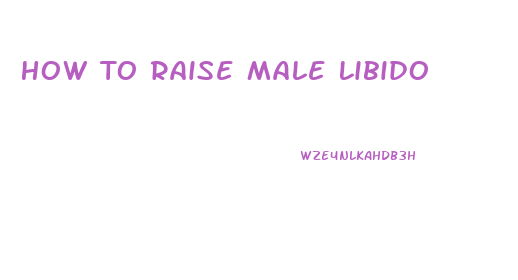 How To Raise Male Libido