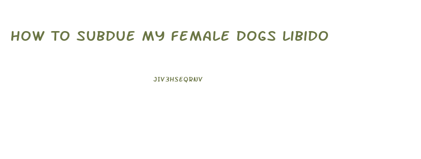 How To Subdue My Female Dogs Libido