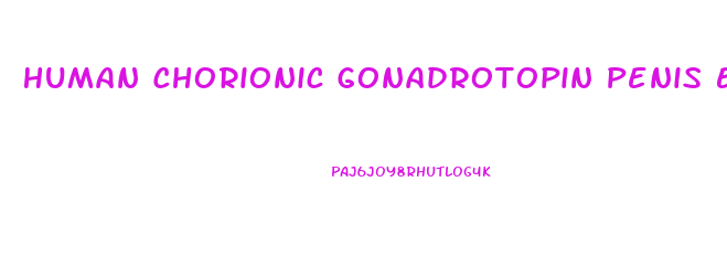 Human Chorionic Gonadrotopin Penis Enlargement Iu
