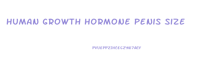 Human Growth Hormone Penis Size