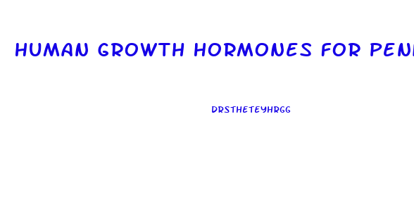 Human Growth Hormones For Penis