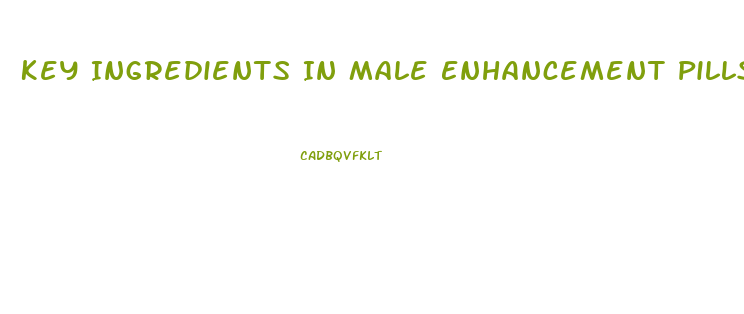 Key Ingredients In Male Enhancement Pills