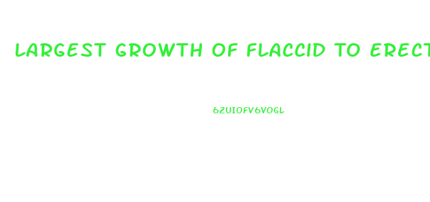 Largest Growth Of Flaccid To Erect Penis